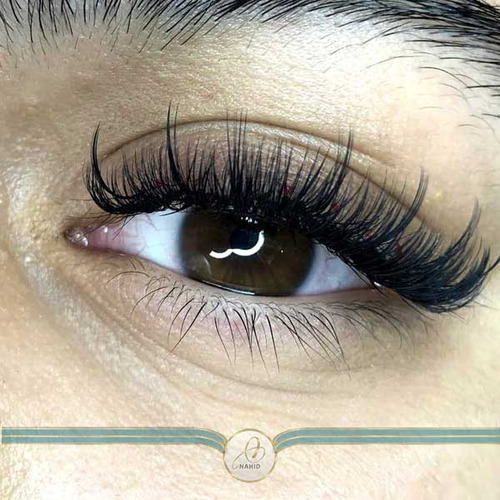 گالری آموزش اکستنشن مژه