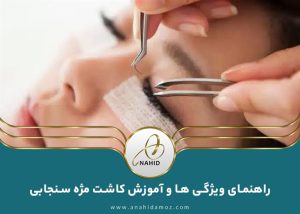 کاشت مژه سنجابی