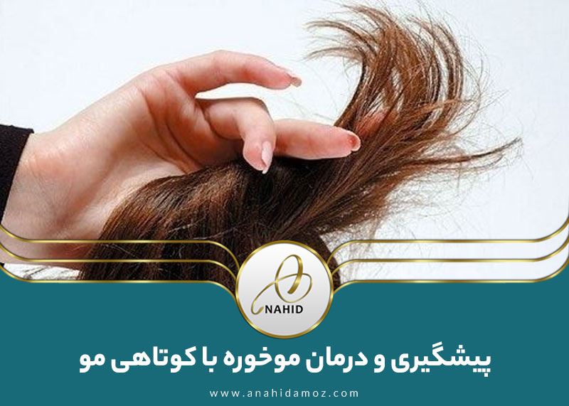 درمان موخوره: آیا با کوتاه کردن مو میتوان موخوره درمان کرد؟