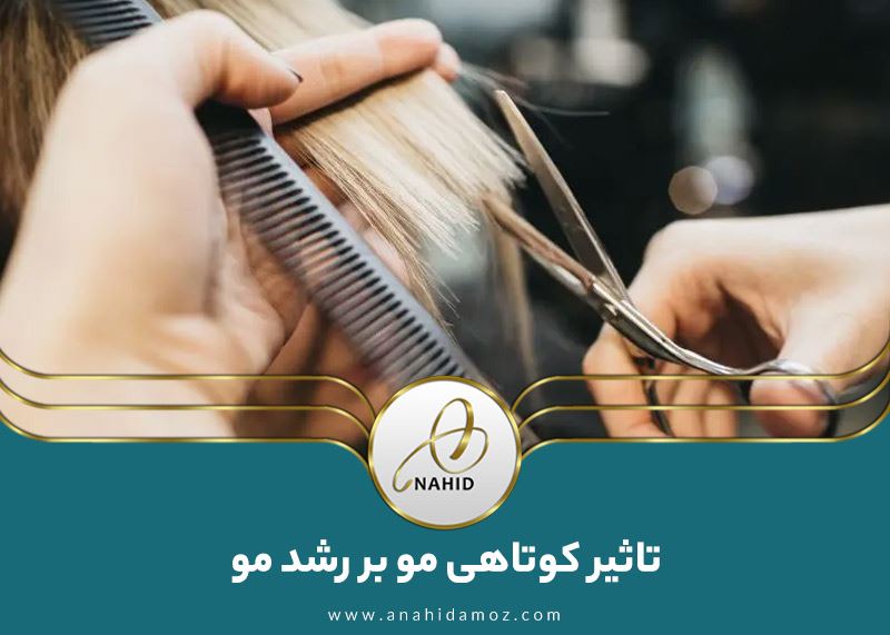 تأثیر کوتاه کردن مو بر رشد مو