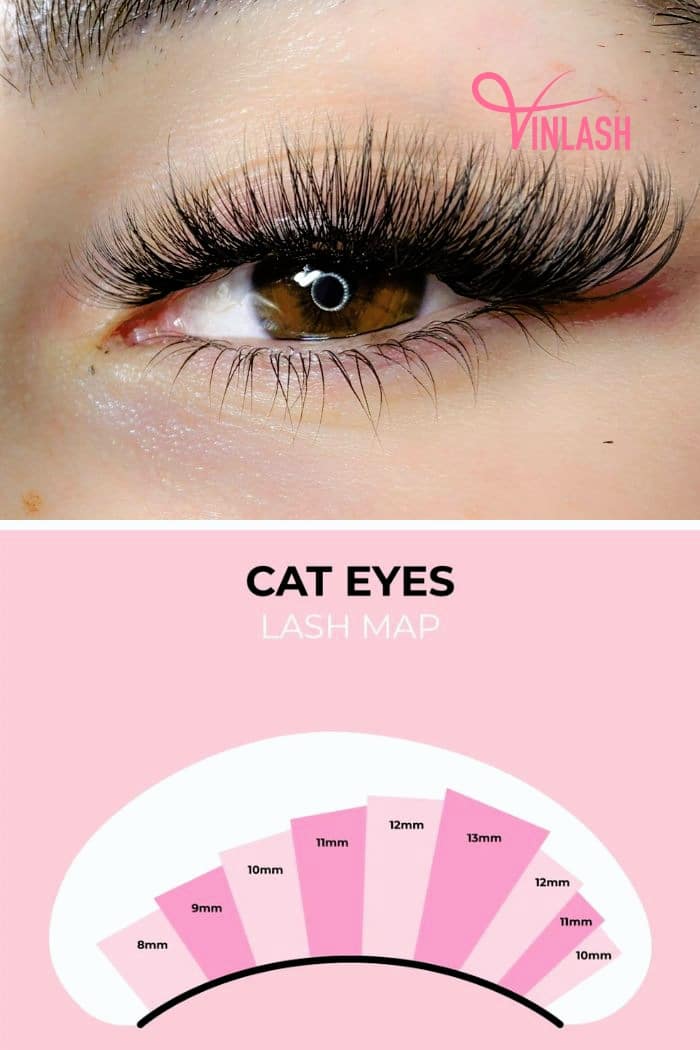 نقشه مژه چشم گربه