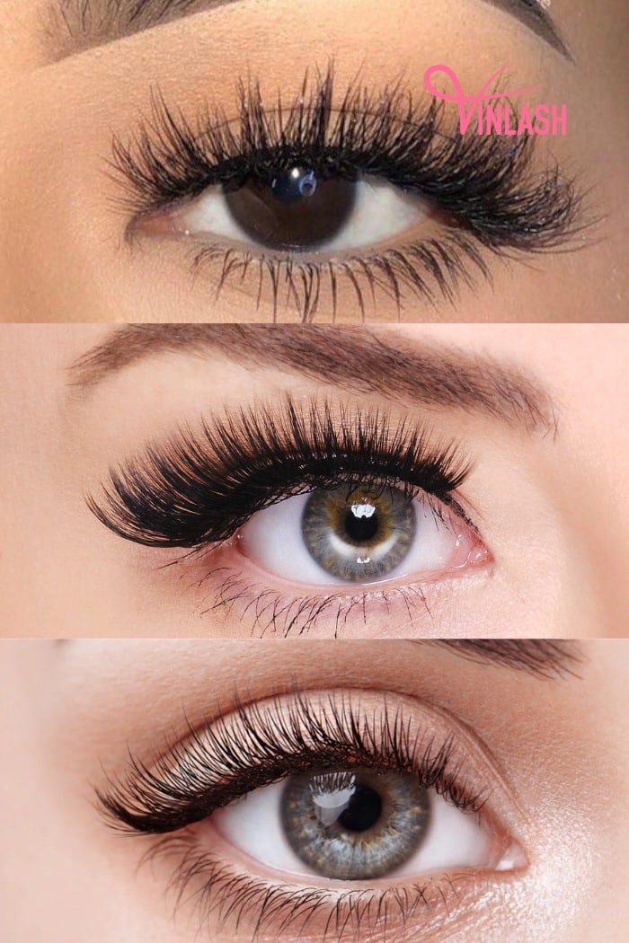 image 20250225142626 6