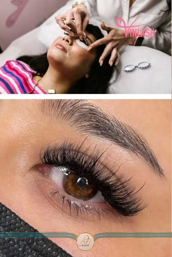 مژه چشم گربه ای معکوس هیبریدی